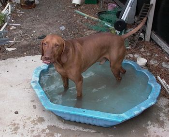 water boy
