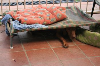 beds were for sleeping under
