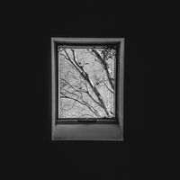 avata by Avario