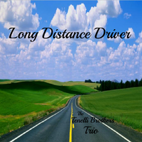 Long Distance Driver by The Tenelli Brothers Trio