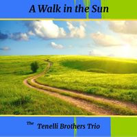 A Walk in the Sun by The Tenelli Brothers Trio