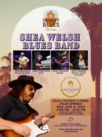 Shea Welsh Blues Band