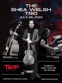 Shea Welsh Trio