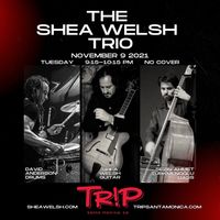 Shea Welsh Trio