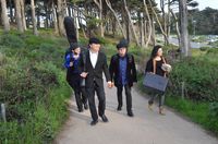 ViBO Simfani - Colma Town Picnic