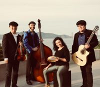 ViBO Simfani - World Music by the Sea
