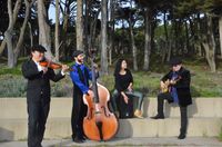 ViBO Simfani World Music Show