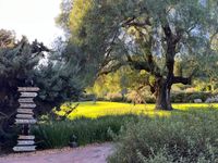 Pamela Rose at Rancho La Puerta