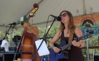 Bluebear Music Festival