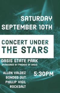 Concert Under the Stars