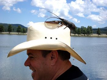 2006 - Pinetop AZ - ...now where did that thing go? Anybody seen the darn
crawfish?
