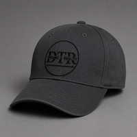 DTR Official Embroider Baseball Cap - Grey