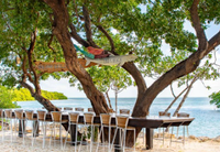 Lung