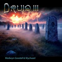 Druid III by Medwyn Goodall