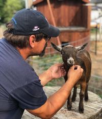 Iowa Goat Yoga July 30th 11:00-12:00pm