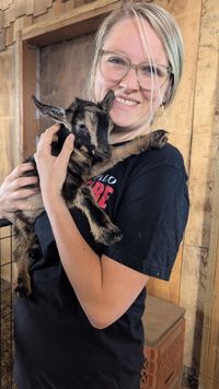 Iowa Goat Yoga Saturday July 11th 9:30-10:30am
