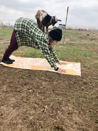 Iowa Goat Yoga June 5th 9:30-10:30am