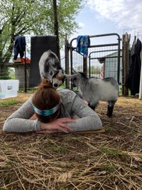 Iowa Goat Yoga July 31rst 9:30-10:30am