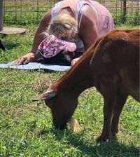 Iowa Goat Yoga July 30th 9:30-10:30am