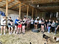 Iowa Goat Yoga Bring A Friend Class June 10th 11-12pm
