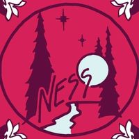 Ness Creek Music Festial Auditions