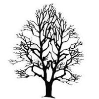 Linden Tree Coffeehouse 