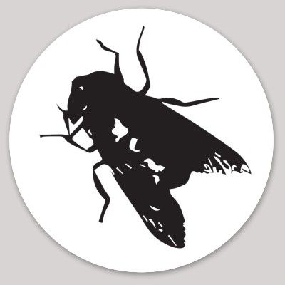 3 " Vinyl Sticker x 5