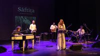 Săftița by Marius Mihalache la Fstivalul ILVA FEST