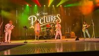 Private Event - The Pictures Band