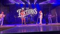 Private Event - The Pictures Band