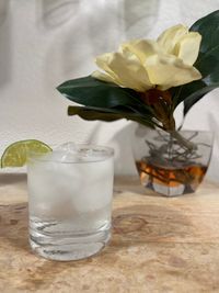 My Dear Wendy "Gin" Release Day!