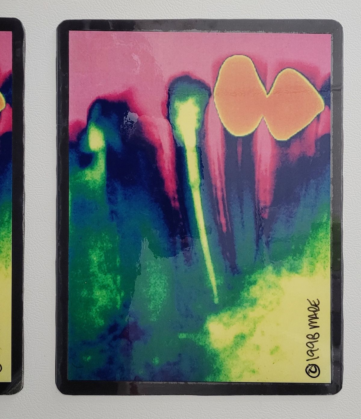XL X Ray Magnet