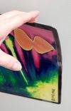 XL X Ray Magnet