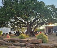 Riley Amanda @ Milam & Greene Distillery