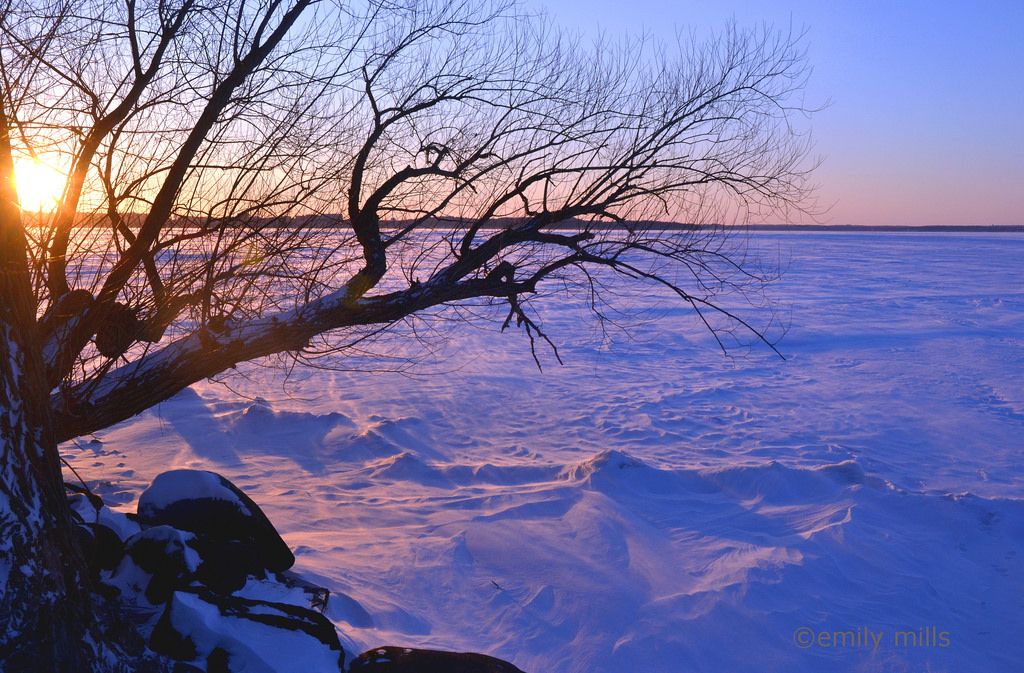 Blow, Blow Thou Winter Wind PDF (60 copies)