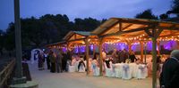 Cottonwood Canyon Latin Jazz Night