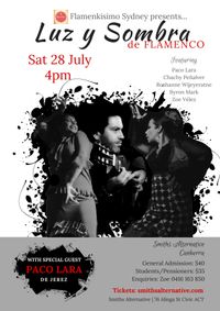 Luz y Sombra de Flamenco