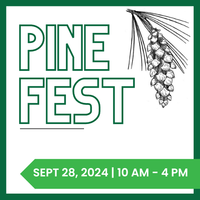 White Pine Festival