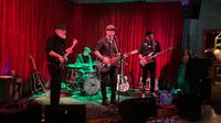 Daniel Rey & the Revenirs/The Golden Bucks/My Cousins Jacket/skellerjäm