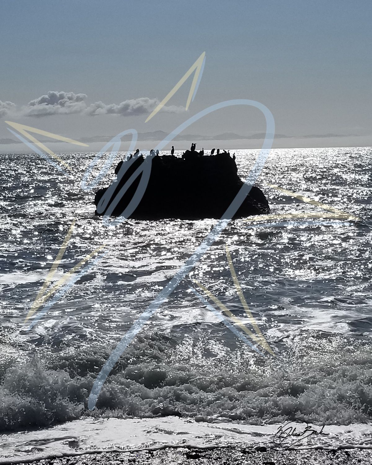 Pelagic Cormorants (Urile pelagicus) on Rock, 2026