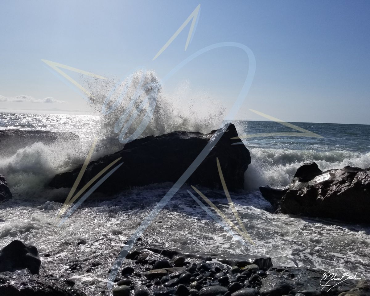 Wave, Botanical Beach, Port Renfrew, 2026