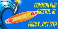 The TeleDynes at Common Pub & Grille