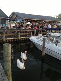 Toomey's Tavern