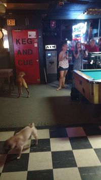The Keg And Cue