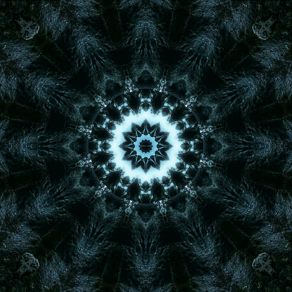 The Art of Infinity: Mandala Art #49 - "Principles" (PNG)