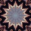 The Art of Infinity: Mandala Art #48 - "Knowledge" (PNG)
