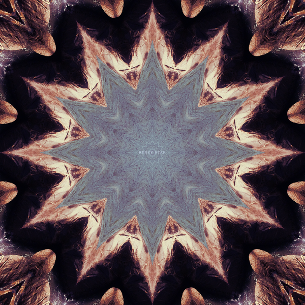 The Art of Infinity: Mandala Art #48 - "Knowledge" (PNG)