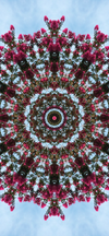The Art of Infinity: iPhone Wallpapers Pack (25-36) [PNG]