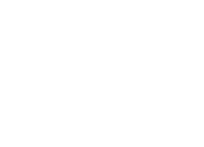 Morfic
