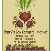 Marc Audet Busking at Barry's Bay Farmer's Market